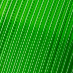 Transparent Neon Green